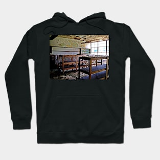 Shelves Of Plenty Hoodie